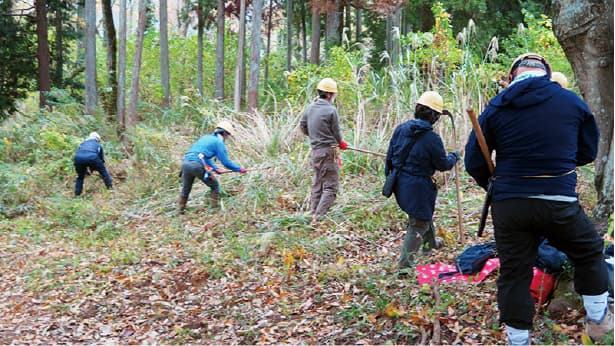 「里山保全活動」の様子