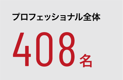 プロフェッショナル全体 408名