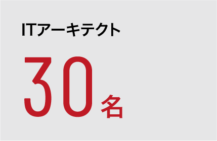 ITアーキテクト 30名